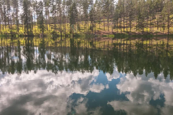 Bewölkter Himmel Und Baumreflexion Abgeschiedener Umgebung See Ruhiges Wasser Und — Stockfoto