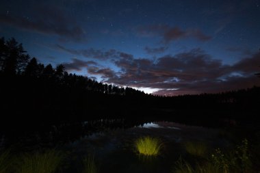 Gölü üzerindeki bulutlu gökyüzünde bir milyon yıldız. Ön planda yeşil çimenler var. Uzun kepenk hızı. Samanyolu