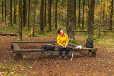 Sarı ceketli bir kadın, bankta oturuyor, yukarı bakıyor ve ormanda gülüyor, yürüyüşe ya da yürüyüşe ara veriyor, doğaya hayran oluyor ve daha fazla yürümek için dinleniyor.