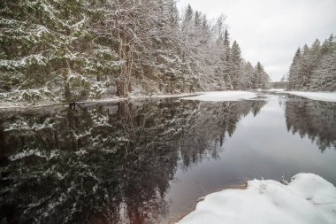 Karlı bir orman boyunca akan kış manzarası nehri. İsveç, uzun kepenk hızı.