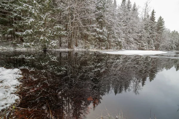 Paysage Hivernal Rivière Coulant Long Une Forêt Enneigée Suède Vitesse — Photo