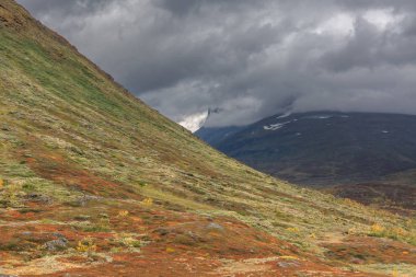 İsveç Laponya 'daki Sarek Milli Parkı' nın güzel vahşi doğası. Dağlık tepeler, nehirler, göller, huş ağaçları ve ladin ağaçlarıyla kaplı. Fırtınalı havada sonbahar renkleri. seçici odak