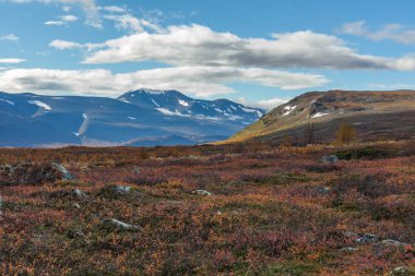 Laponya 'daki Sarek Ulusal Parkı Dağları, Sonbahar, İsveç, Seçici Odaklanma