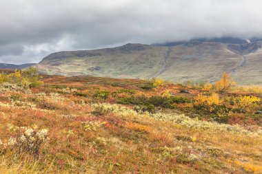 Laponya 'daki Sarek Ulusal Parkı Dağları, Sonbahar, İsveç, Seçici Odaklanma