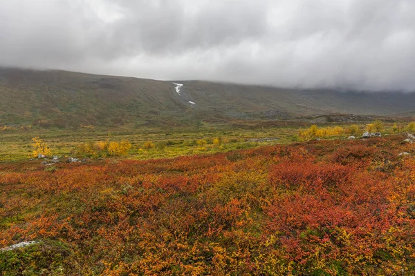 Park Narodowy Sarek Północnej Szwecji Jesienią Selektywne Ukierunkowanie — Zdjęcie stockowe