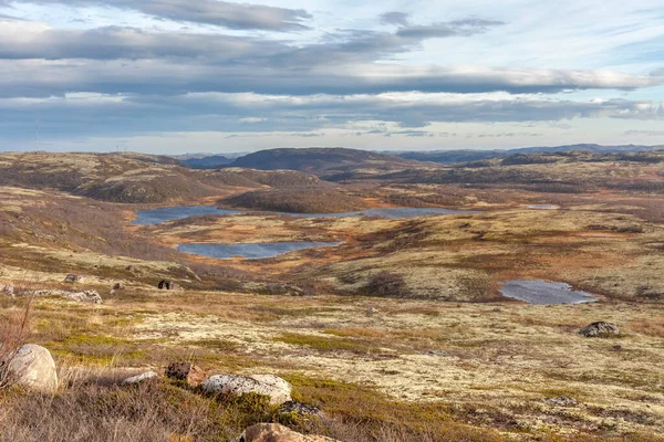 Colorful Yellow Background Northern Foggy Mountains Autumn Tundra Arctic Kola — 스톡 사진