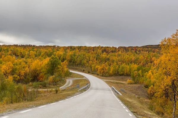 Длинная Красивая Дорога Норвежском Лоффенхайме Концепция Будущего Путешествия Прогресса Осень — стоковое фото