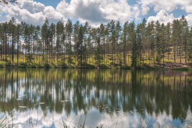 Bulutlu gökyüzü ve gölün kenarındaki tenha alanda ağaç yansıması. Sakin sular ve bulutlu gökyüzü. İsveç. Seçici odaklanma. uzun pozlama