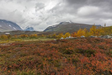İsveç Laponya 'daki Sarek ulusal parkının güzel vahşi doğası. Karlı dağ zirveleri, nehir ve göl, huş ağacı ve çam ağaçları ormanı. Fırtınalı havada sonbahar renkleri. seçici odak