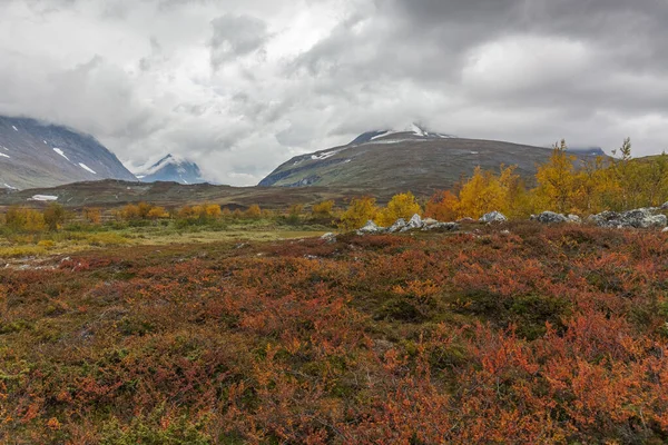Прекрасна Дика Природа Національного Парку Сарек Швеції Лапландія Засніженими Гірськими — стокове фото