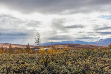 Sonbaharda İsveç 'in kuzeyinde Sarek Ulusal Parkı, seçici odaklı