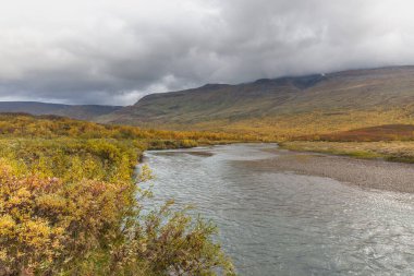 Sarek Ulusal Parkı 'nın Arktik dağlarındaki dağ nehri..