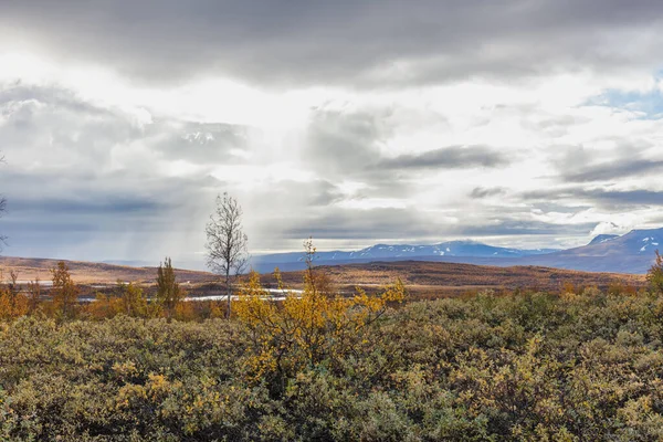 Národní Park Sarek Severním Švédsku Podzim Selektivní Zaměření — Stock fotografie