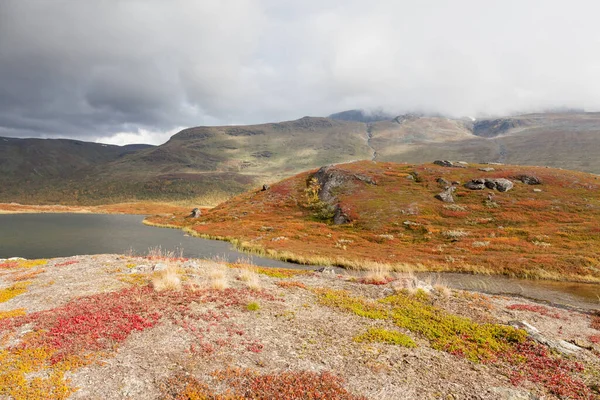 Beautiful wild nature of Sarek national park in Sweden Lapland with snow capped mountain peaks, rivers and lakes, birch and spruce tree forests. Early autumn colors in stormy weather. selective focus