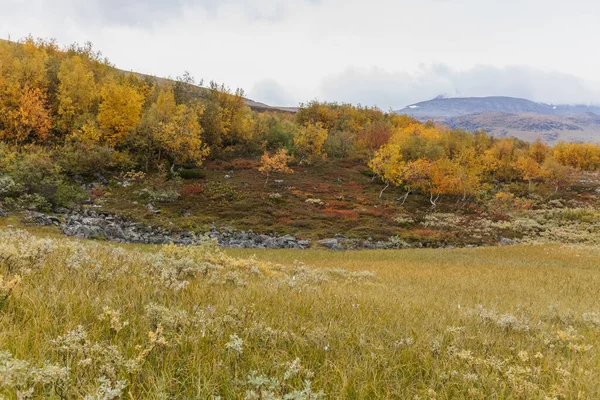 Utsikt Över Dalen Norra Sverige Sareks Nationalpark Stormigt Väder Selektivt — Stockfoto