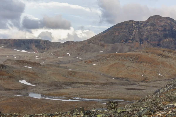 Parco Nazionale Sarek Nel Nord Della Svezia Autunno Focus Selettivo — Foto Stock