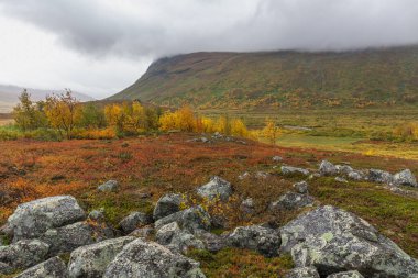 Sonbaharda İsveç 'in kuzeyinde Sarek Ulusal Parkı, seçici odaklı