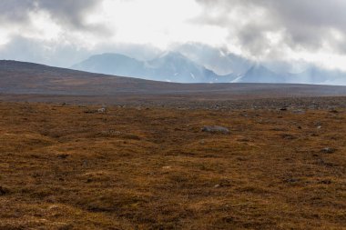 Laponya 'daki Sarek Ulusal Parkı Dağları, Sonbahar, İsveç, Seçici Odaklanma