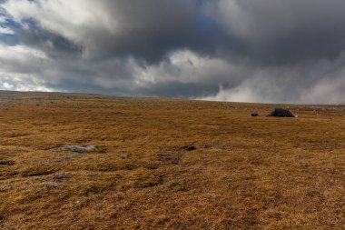 Sonbaharda İsveç 'in kuzeyinde Sarek Ulusal Parkı, seçici odaklı