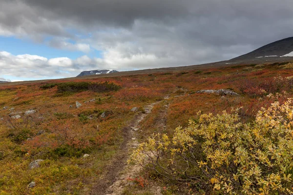 Mountains Sarek National Park Lapland Autumn Sweden Selective Focus — 스톡 사진