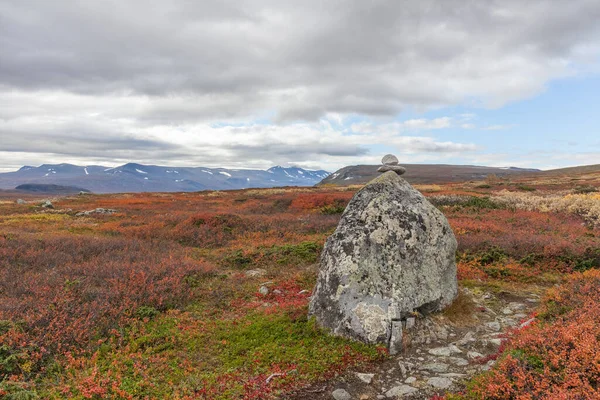 Sarek National Park Het Noorden Van Zweden Herfst Selectieve Focus — Stockfoto