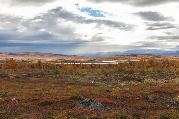 Mountains Sarek National Park Lapland Autumn Sweden Selective Focus — 스톡 사진