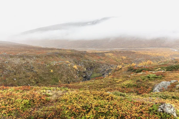 Sarek Εθνικό Πάρκο Στη Βόρεια Σουηδία Φθινόπωρο Επιλεκτική Εστίαση — Φωτογραφία Αρχείου