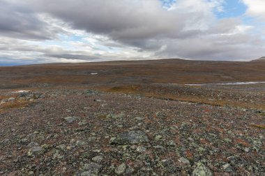 Sonbaharda İsveç 'in kuzeyinde Sarek Ulusal Parkı, seçici odaklı