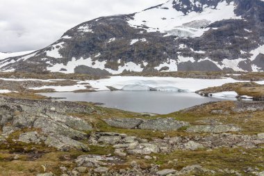 Norveç yaz manzarası, kar kaplı dağların harika manzarası yazın temiz ve soğuk havası, seçici bir odak noktası