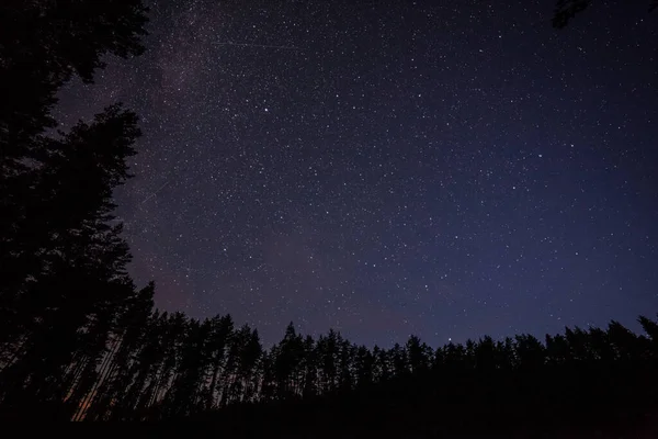 Million Étoiles Nuit Longue Vitesse Obturation Voie Lactée — Photo