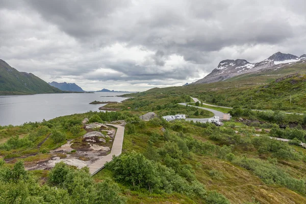 ノルウェーの夏の風景フィヨルド ノルウェー 選択的焦点ノルウェーのカラフルな朝のシーン — ストック写真