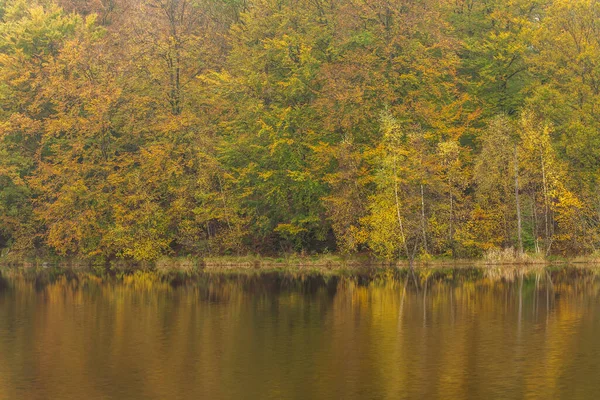 Bord Mer Reflets Forêt Colorée Automne Dans Eau Image Nord — Photo