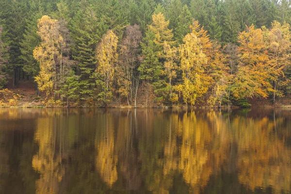 Mar Reflexões Floresta Colorida Outono Água Imagem Norte Suécia — Fotografia de Stock