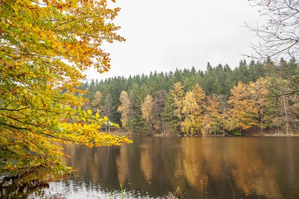 Pequeno Lago Florestal Uma Manhã Ensolarada Outono Parque Nacional Soderasen — Fotografia de Stock