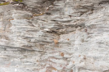 kesintisiz rock doku ve yüzey arka planı portre desen