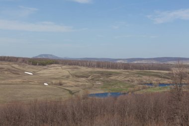 Ormanın yakınındaki bir tarlada bahar manzarası. seçici odak