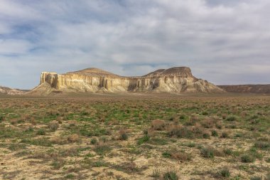 Ustyurt Platosu. Boszhir bölgesi. Kuru bir okyanusun dibinde Tetis. Kazakistan. seçici odak