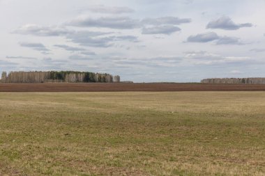 Bahar doğası, bulutlu gökyüzü olan orman manzarası. - Rusya. Seçici odak