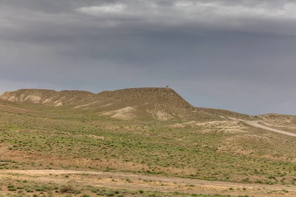 Ustyurt Platosu Yüksek Bir Tepede Duruyor Boszhir Bölgesi Kuru Bir — Stok fotoğraf