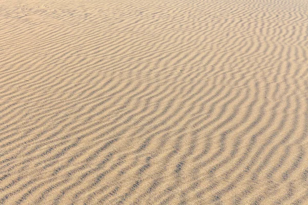 砂の質感 砂浜を背景に 最上階だ選択的焦点 — ストック写真