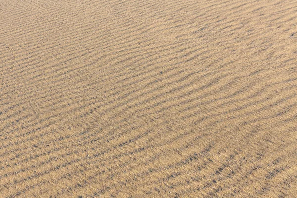 Sandstruktur Sandstrand Als Hintergrund Ansicht Von Oben Selektiver Fokus — Stockfoto