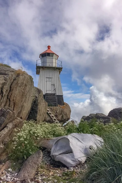 Remains Whale Next Lighthouse Norway — Stock Photo, Image