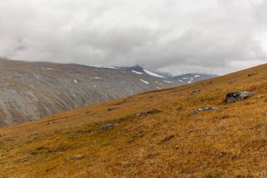 Vadi manzarası. Kuzey İsveç, Sarek Ulusal Parkı fırtınalı havada. seçici odak