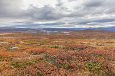 Sonbaharda İsveç 'in kuzeyinde Sarek Ulusal Parkı, seçici odaklı