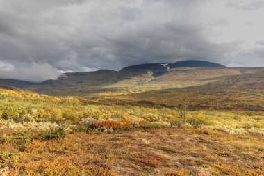 Vadi manzarası. Kuzey İsveç, Sonbaharda fırtınalı havada Sarek Ulusal Parkı. seçici odak