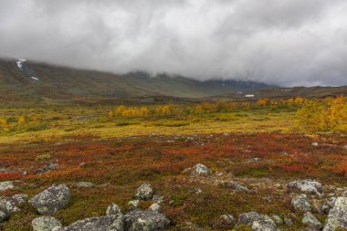 Sonbaharda İsveç 'in kuzeyinde Sarek Ulusal Parkı, seçici odaklı
