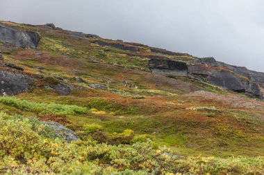 Laponya 'daki Sarek Ulusal Parkı Dağları, Sonbahar, İsveç, Seçici Odaklanma