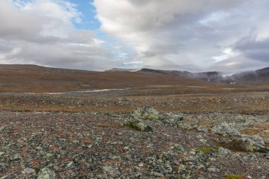 Laponya 'daki Sarek Ulusal Parkı. İsveç dağından seçici bir odak noktası.
