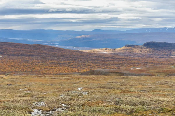 Sarek National Park Northern Sweden Autumn Selective Focus — 스톡 사진
