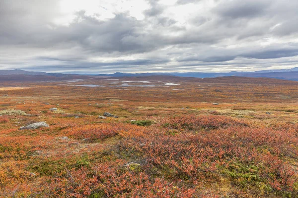 Sarek Nemzeti Park Észak Svédországban Ősszel Szelektív Fókusz — Stock Fotó